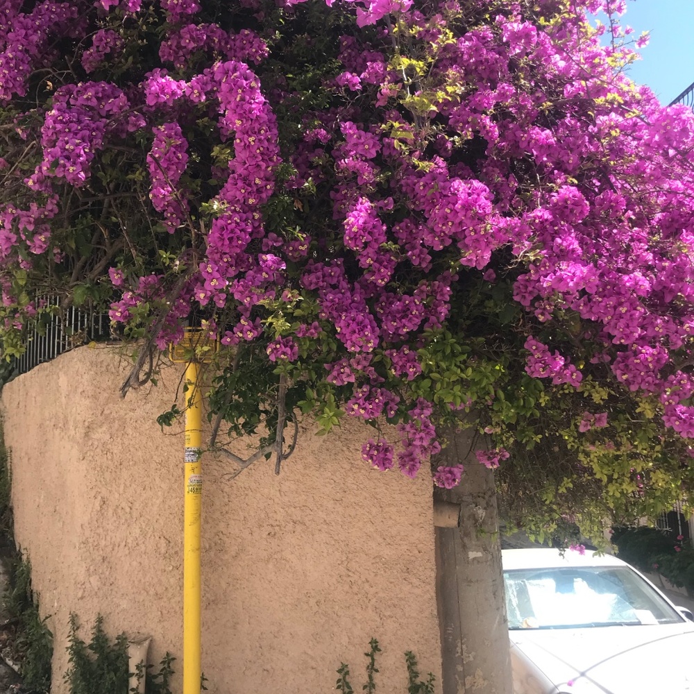 Meet your Posher, Maria